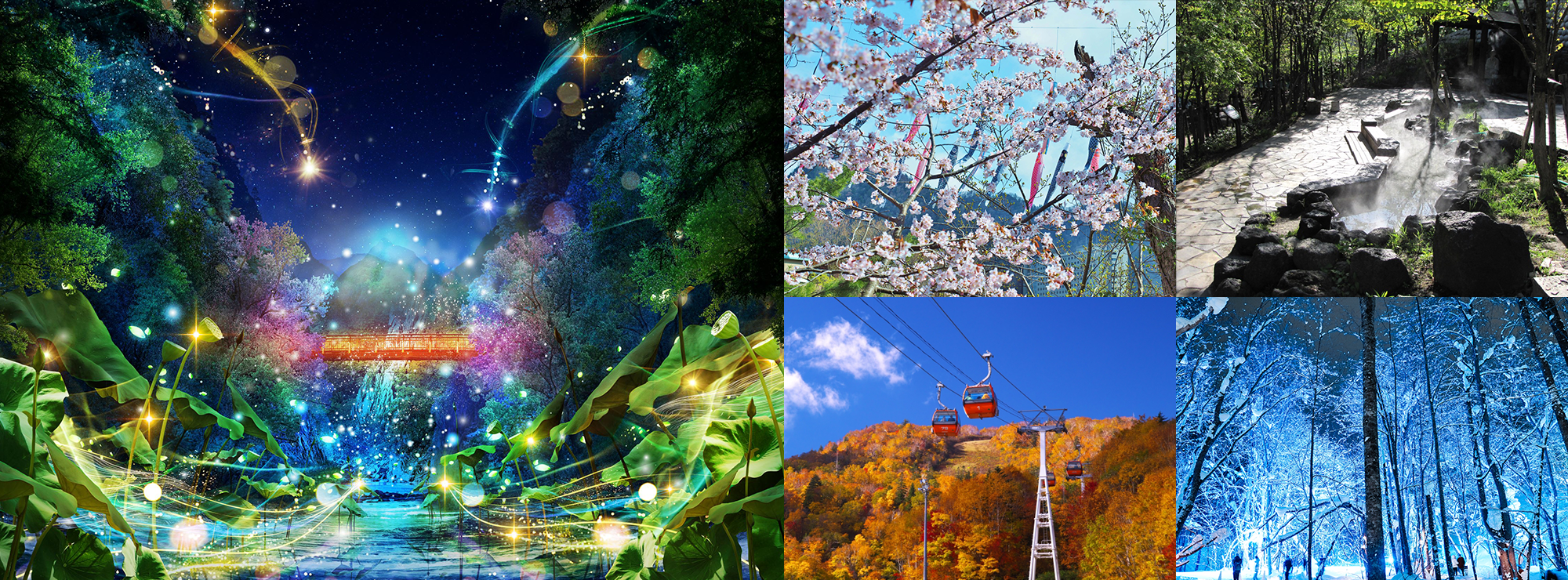 Experience the four seasons