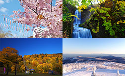 Experience the four seasons