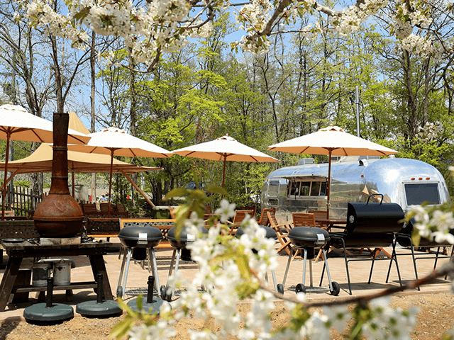 Okujozankei Kamui Forest (Jozankei Farm)