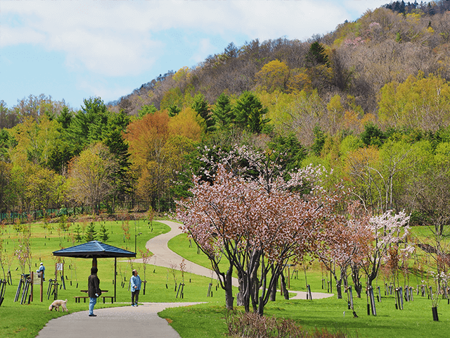 Koganeyu Sakuranomori
