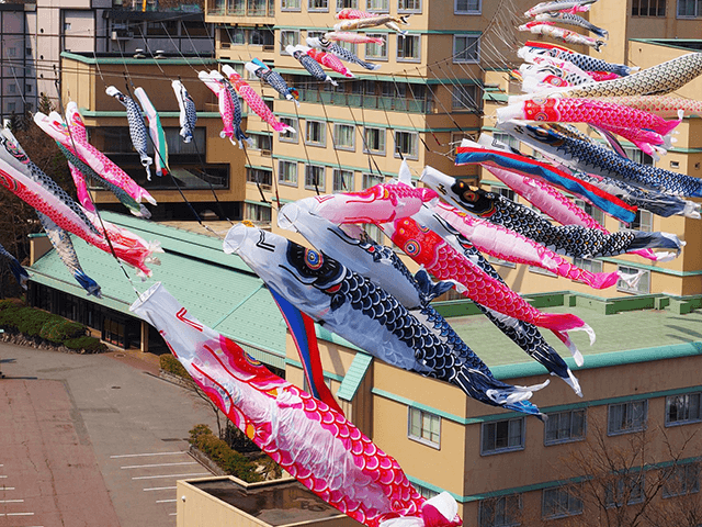 Jozankei Onsen Mountain Stream Carp Streamers