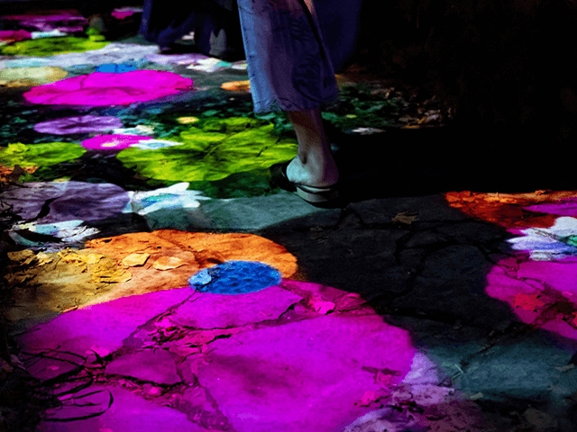 Jozankei Nature Illuminarie