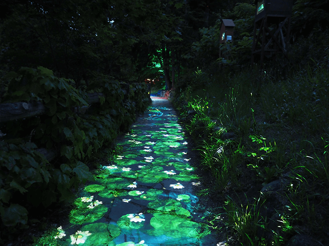 Jozankei Nature Illuminarie