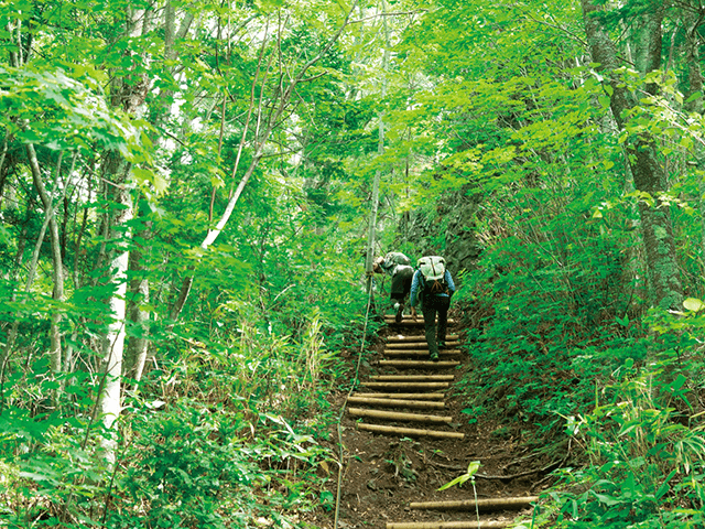 Mt. Sapporo and Mt. Hakken (light climbing)