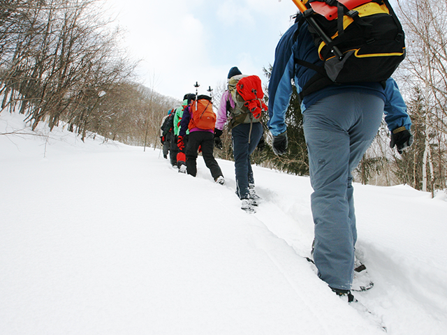 Snowshoe walk